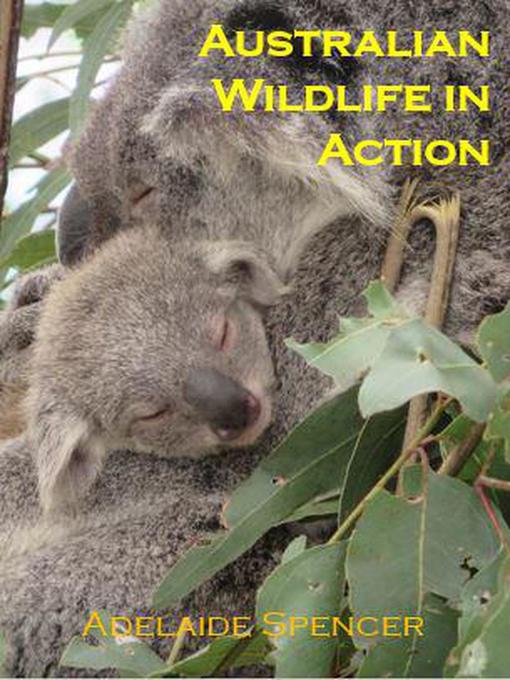Title details for Australian Wildlife in Action by Adelaide Spencer - Wait list